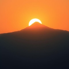 この手はあなたを守るためのもの ～FEEの決意～