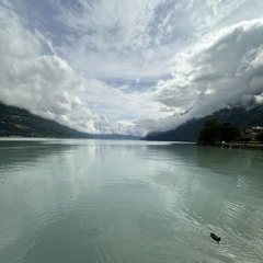 07 Feels Like June 2024