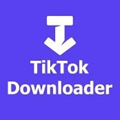 TikTok Video Downloader Without Watermark - HD Quality, MP4 Format, No Limits