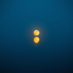 Reminds