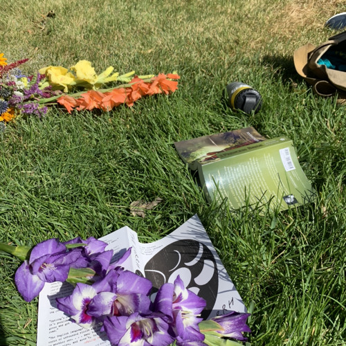 Stream funeral by phoebe bridgers by lark z Listen online for free on