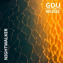 NIGHTWALKER