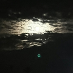 Shewannagetdick (prod. key kelly)