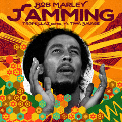 Jamming (Tropkillaz Remix) [feat. Tiwa Savage]