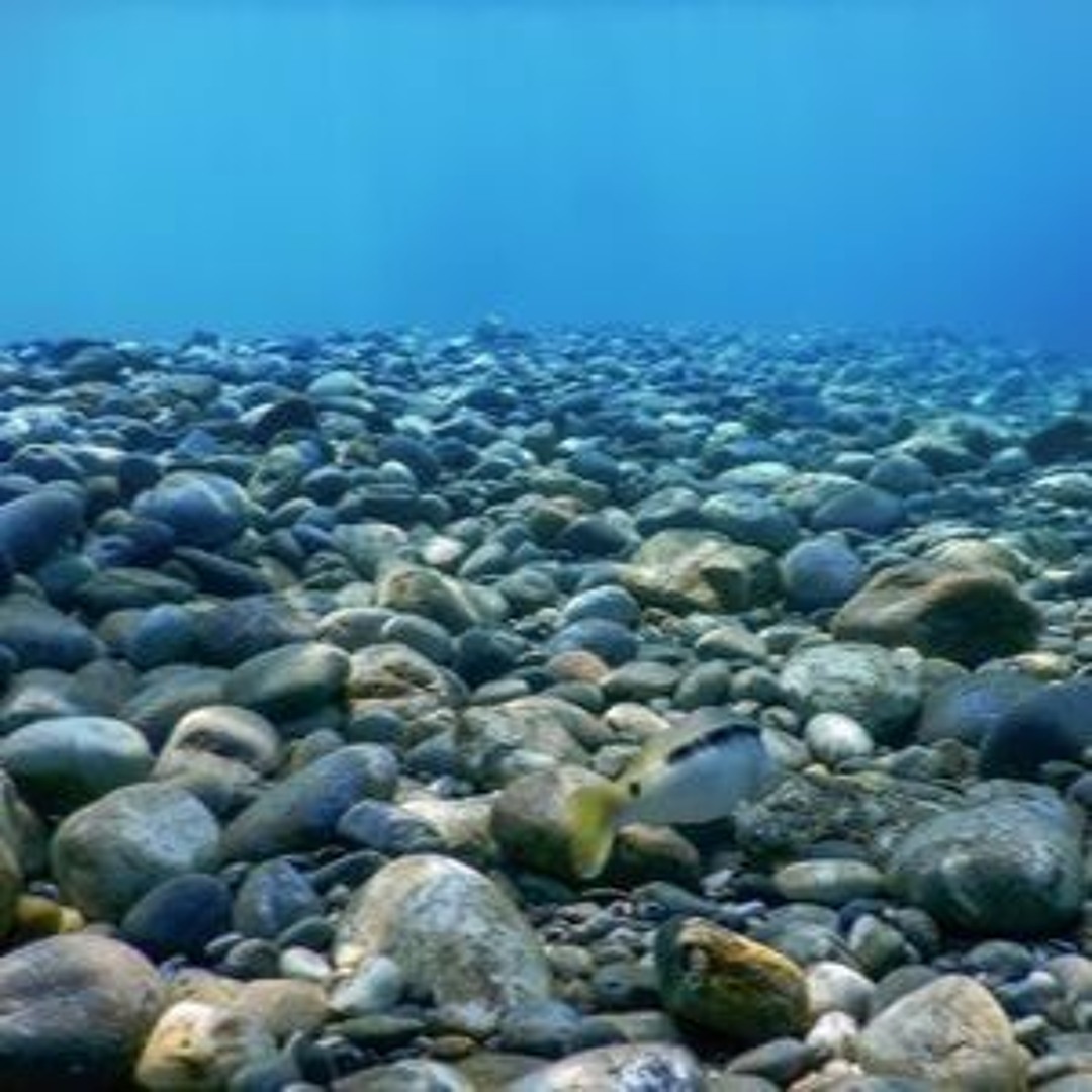 Listen to Underwater Rocks in the Tide | Hydrophone Field Recording by  Jared Blake in Ambient Water Sounds for Relaxation: A Field Recording Album  playlist online for free on SoundCloud, image size:1080x1080