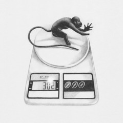 Minefields (feat. Yarrow.co)