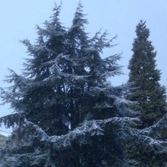 What is it that you are suposed to do?