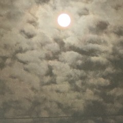 falling-backwards.mp3