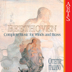 Duo For Clarinet And Bassoon Nr. 1 In C Major, WoO 27: II. Larghetto Sostenuto