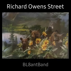 Richard Owens Street