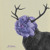 Artwork for Kashmir