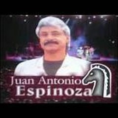 Juan Antonio Espinosa Su hIstoria Con Paloma Gaviota Corcel Negro pegasso del pollo