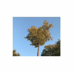 DPWG - Vermödalen