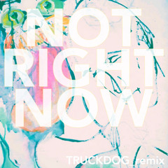 DocGryphon - Not Right Now - TruckDog_remix