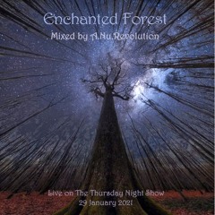 Enchanted Forest Live on TTNS 29Jan21