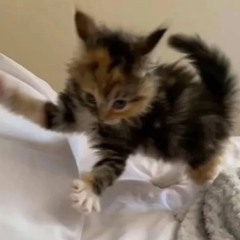 do you love me?? (sped up)