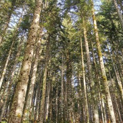 TrïpRëport ¶ Tÿpë K