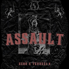 Assault - echo x Tevvez2.0