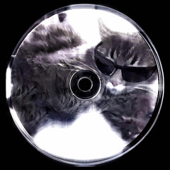 Si quieres techno aquí lo tienes