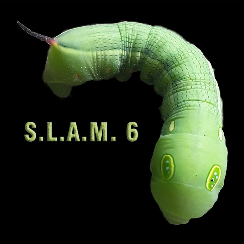 S.L.A.M 6