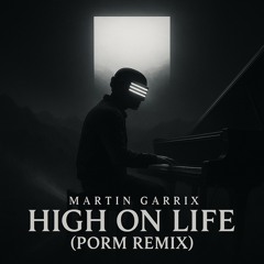 Martin Garrix - High On Life (PORM remix)