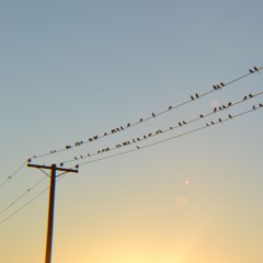EFDLR09: Desde la frontera más caliente del mundo...☀️🐬📻🔊
