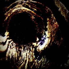 The Void