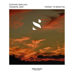 Edward Snellen, Fedders, SEM - Forget To Breath