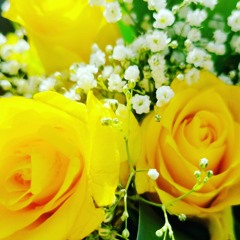 عيد ميلاد سعيد مريم