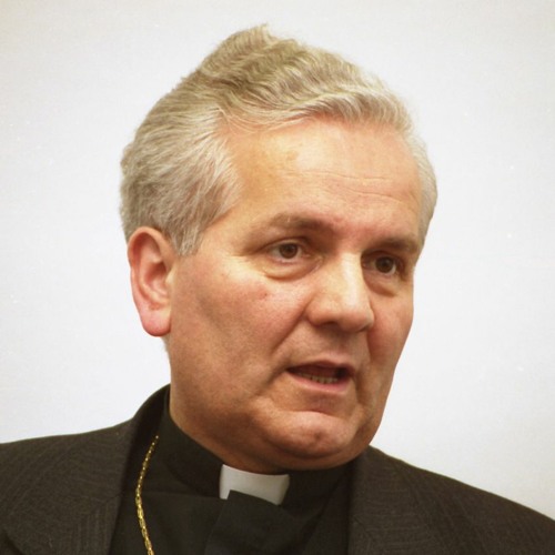 Bischof Franjo Komarica: Kirche in der Verfolgung (2004)
