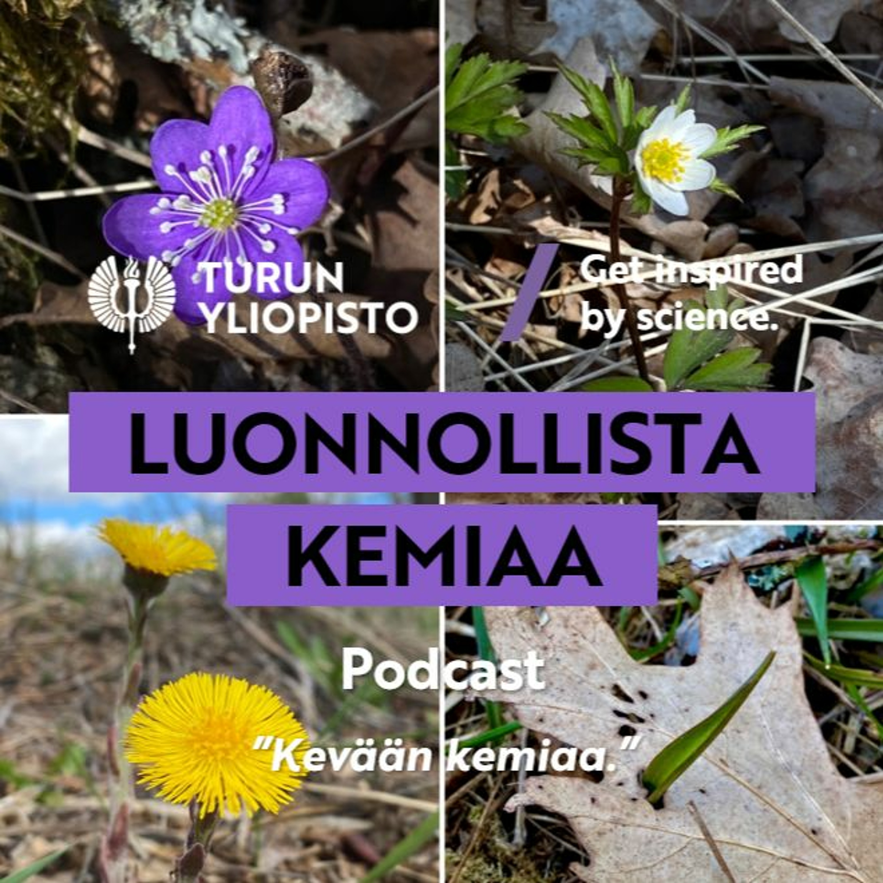 Luonnollista kemiaa: Kevään kemiaa episode artwork