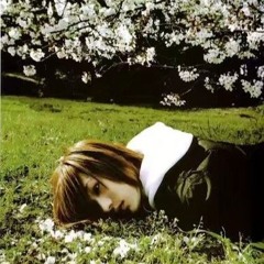 Melt - Plastic Tree