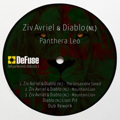 Mountain Lion - Diablo's (NL) Lion Pit dub rework