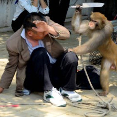 hoes n checks @denzelrose