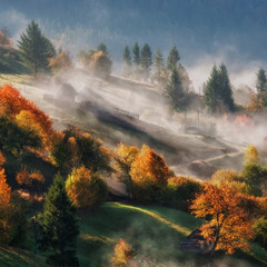 Crawling Mists