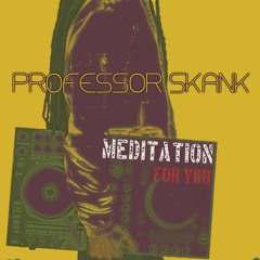 Professor skank - Meditation For You