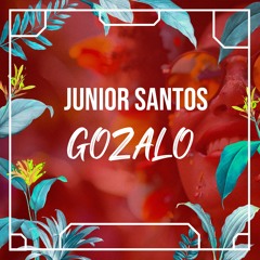 Junior Santos - Gozalo