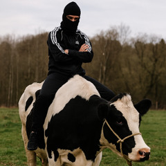 MOOO! - Doja Cat (tom feral remix)