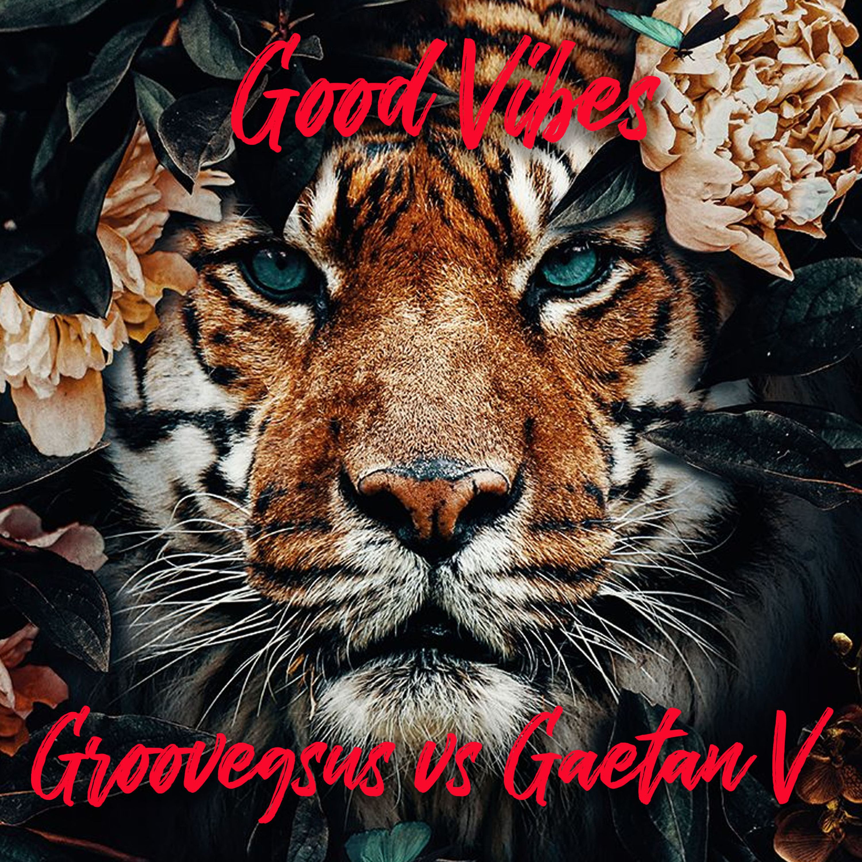 Groovegsus b2b Gaetan V - Good Vibes 2020 03 [Deep & Afro House]