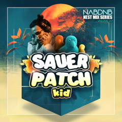NAB DNB NEST MIX SERIES [SAUER PATCH KID] - VOL 27