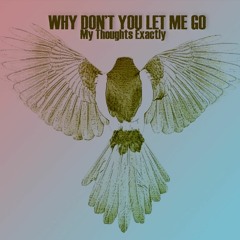 Why Don't You Let Me Go