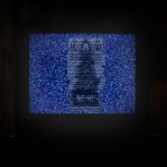 in your tv, i hide among the static