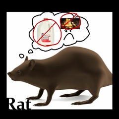 Lactose Intolerant Rat