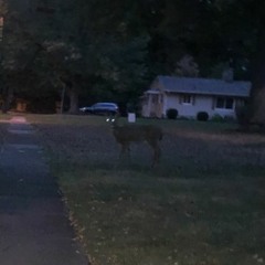 get em goneeee +heartstopmiami (strang eliot)