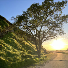 Attract what you want