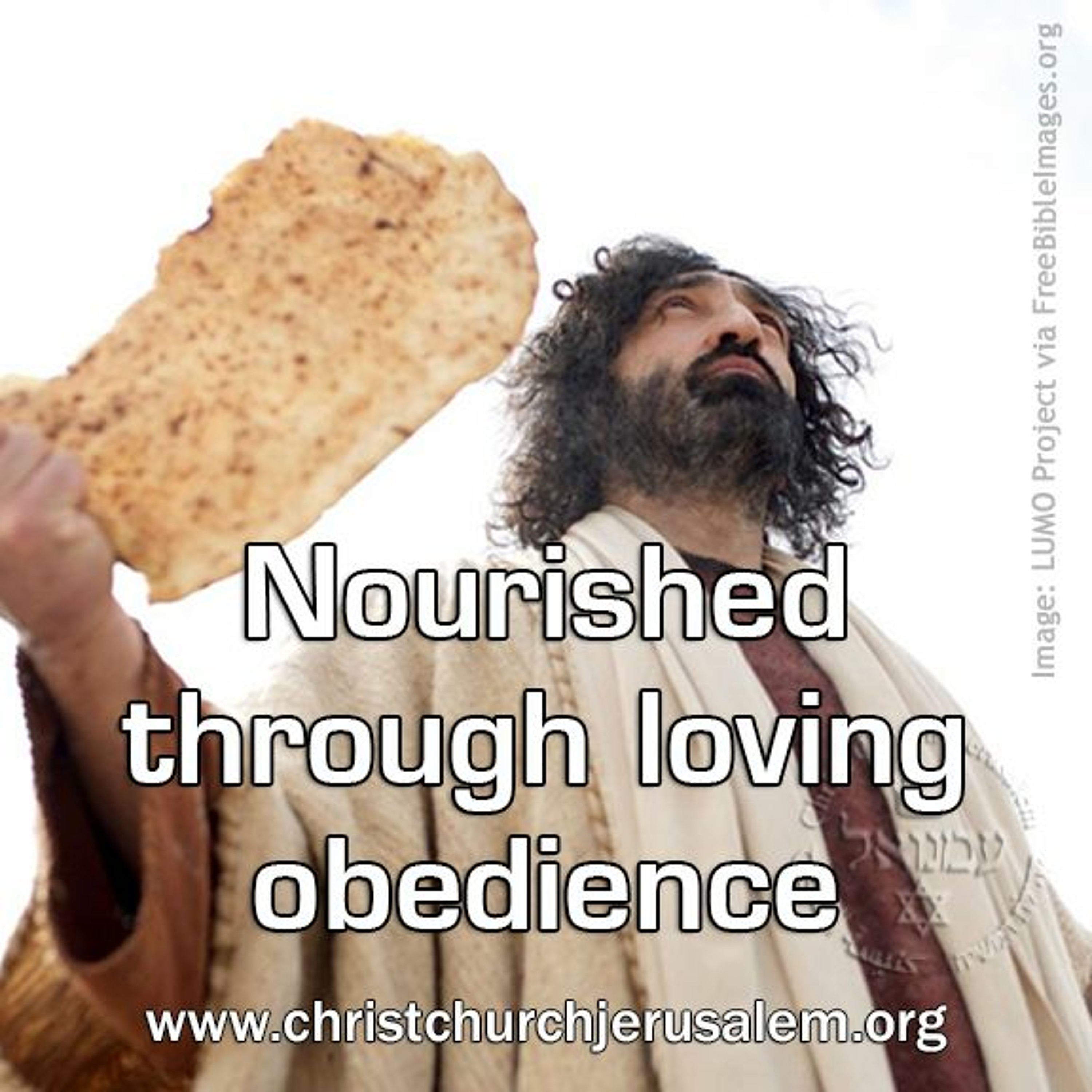 Nourished through loving obedience episode artwork