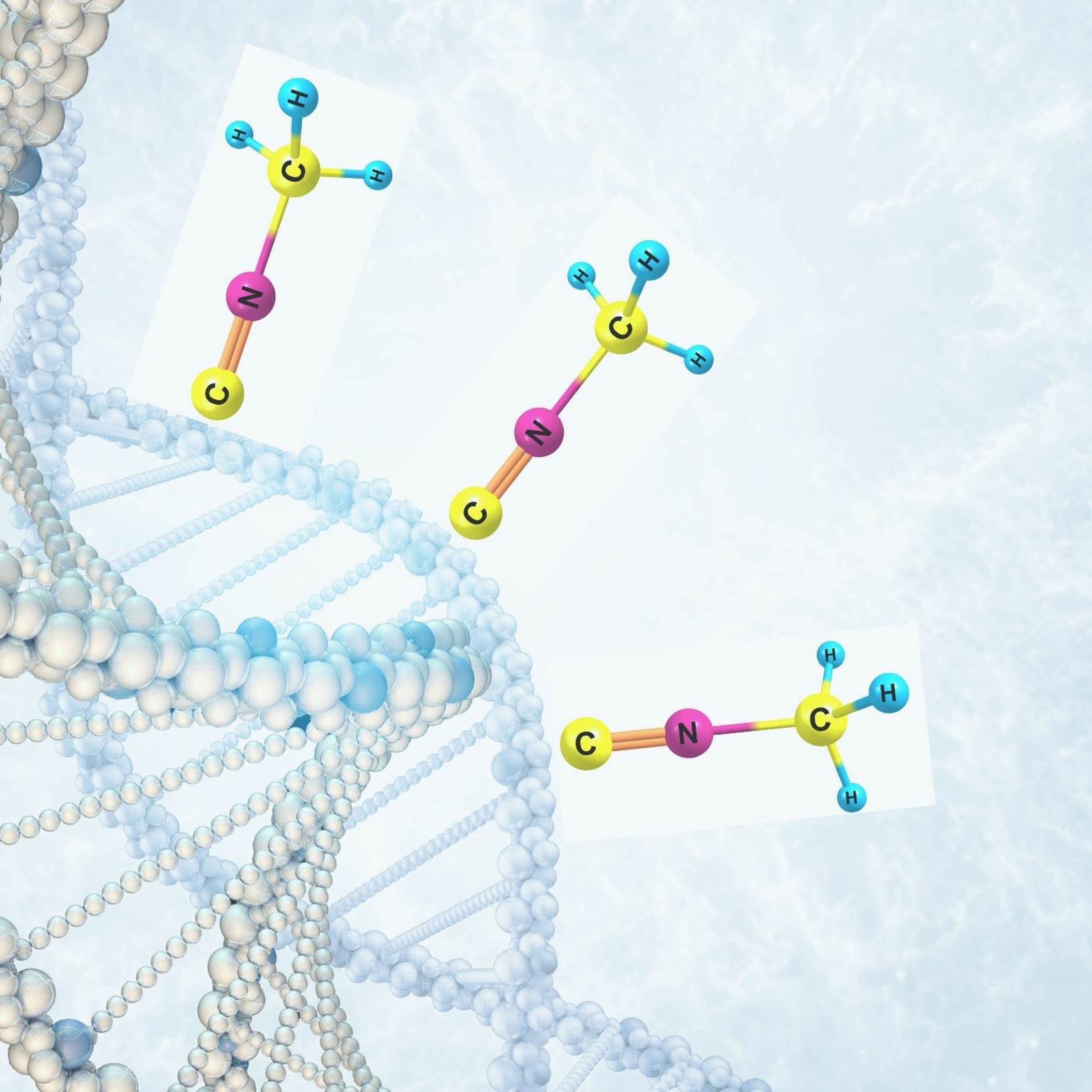 Establishing an epigenetic lens through which to explore infectious disease and cancer