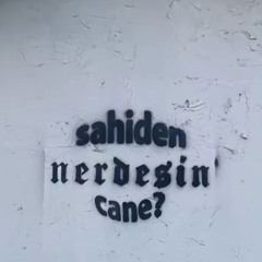 Nerdesin Caney