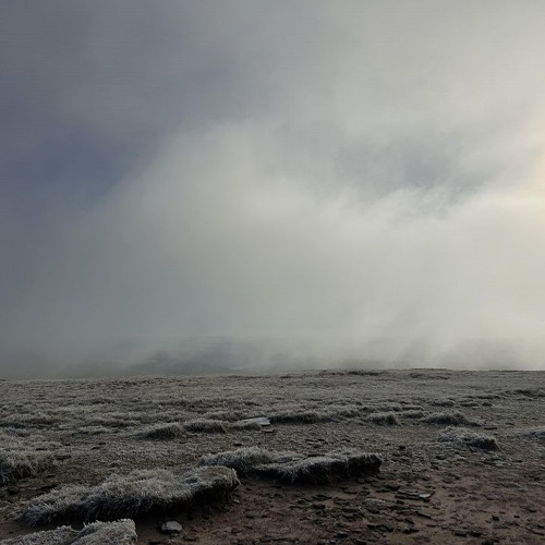 The Early Bird Show w/ THEA HD 070125