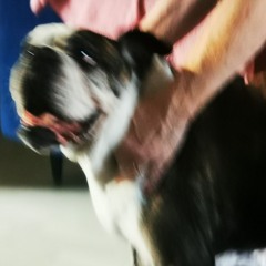 Saturdays are for the boys - I didn't go to Lumi either edition